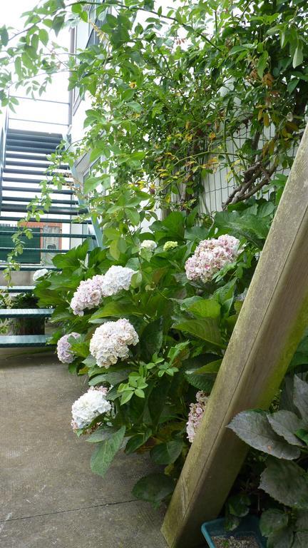 Azores Holidays House -B&B - Suites - Self Check-In Keyboard Ponta Delgada - Açores Exterior foto