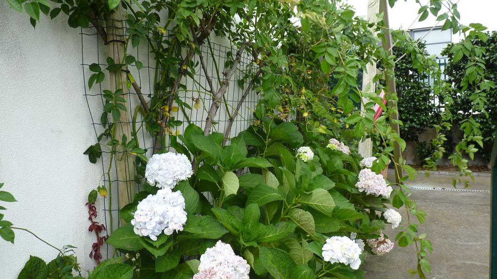Azores Holidays House -B&B - Suites - Self Check-In Keyboard Ponta Delgada - Açores Exterior foto