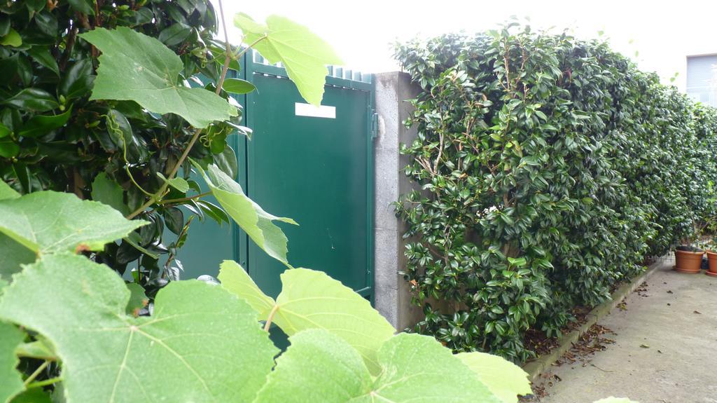 Azores Holidays House -B&B - Suites - Self Check-In Keyboard Ponta Delgada - Açores Exterior foto